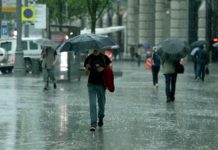 В Ростове на неделе пройдут дожди и потеплеет до +16 Дождь //фото: Известия /Михаил Терещенко