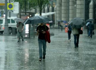 В Ростове 27 октября ожидается сильный ливень Дождь //фото: Известия /Михаил Терещенко