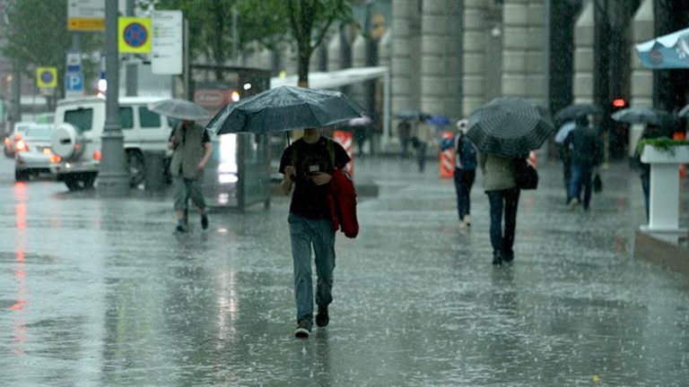 Из-за непогоды власти Ростова призвали работодателей перевести сотрудников на удаленку