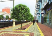 В Ростове планируют сделать пять новых пешеходных зон и мост на Зеленый остров