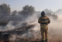 В хуторе Обуховка потушили природный пожар площадью 4000 кв.м.