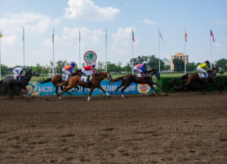 Землю под новый ипподром в Ростове хотят застроить домами