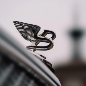 Bentley отметила 100-летие элегантным тест-драйвом по Ростовом //Фото: Ключавто