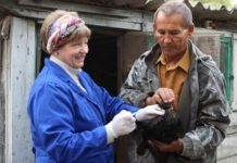 В Ростовской области проводят вакцинацию домашних птиц от гриппа //Правительство Ростовской области