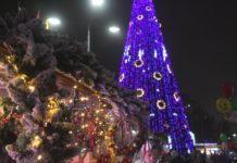 В Ростове на техническое открытие центральной новогодней елки потратят 2,2 млн рублей