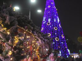 Новый Год В Ростовской Области