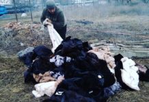 В Ростовской области сожгли 68 нелегальных шуб