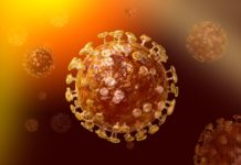 В Ростовской области более 2400 человек инфицированы COVID-19