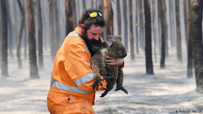Пожары в Австралии//Фото: DW