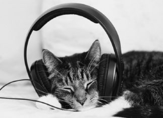 Каждый второй житель Ростовской области слушает музыку на работе //Фото: grol1410.livejournal.com