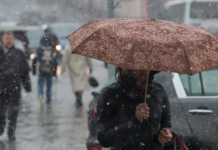 На неделе в Ростове-на-Дону прогнозируют дожди и кратковременный снег