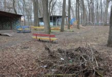 В Ростове из заброшенной рощи на Шолохова планируют сделать парк