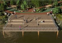 В ростовском парке «Дружба» высадят более 1000 деревьев вместо 300 старых