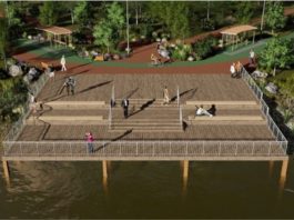 В ростовском парке «Дружба» высадят более 1000 деревьев вместо 300 старых