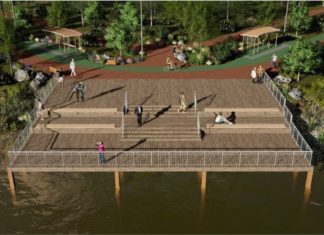 В ростовском парке «Дружба» высадят более 1000 деревьев вместо 300 старых