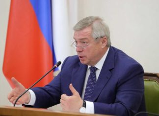Василий Голубев вошел в состав комитета Совфеда по делам Севера