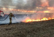 Под Ростовом возле Соленого озера тушат крупный пожар