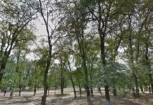 В Первомайском районе по решению суда восстановят Можайскую рощу парк // фото с сайта: multilisting.su