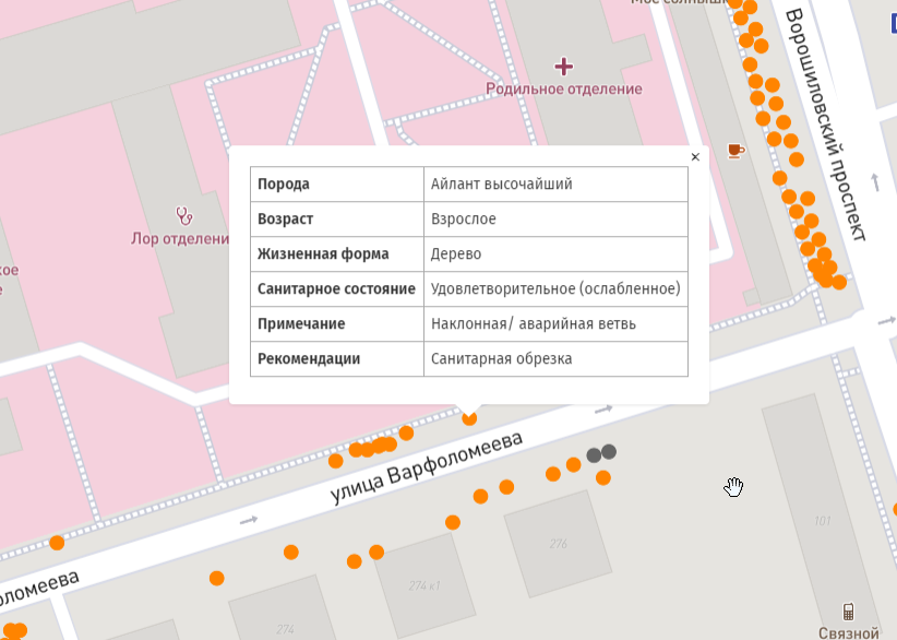 В Ростове появилась электронная карта деревьев//Фото: пресс-служба компании «Дорожный консалтинг»