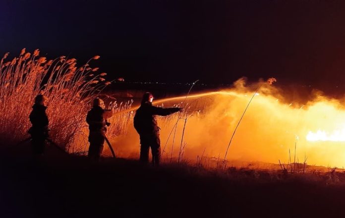 Пожар камыша//Фото: МЧС России по Ростовской области