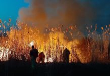 Под Ростовом потушили пожар площадью 7 гектаров