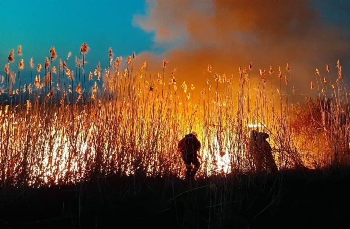 Пожар камыша //Фото: МЧС России по Ростовской области