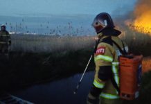 За сутки в Ростовской области ликвидировали шесть ландшафтных пожаров Пожар камыша//Фото: МЧС России по Ростовской области