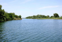 Бастрыкин поручил доложить о загрязнении реки Темерник в Ростове