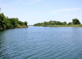 На расчистку 17 км реки Быстрая потребуется три года