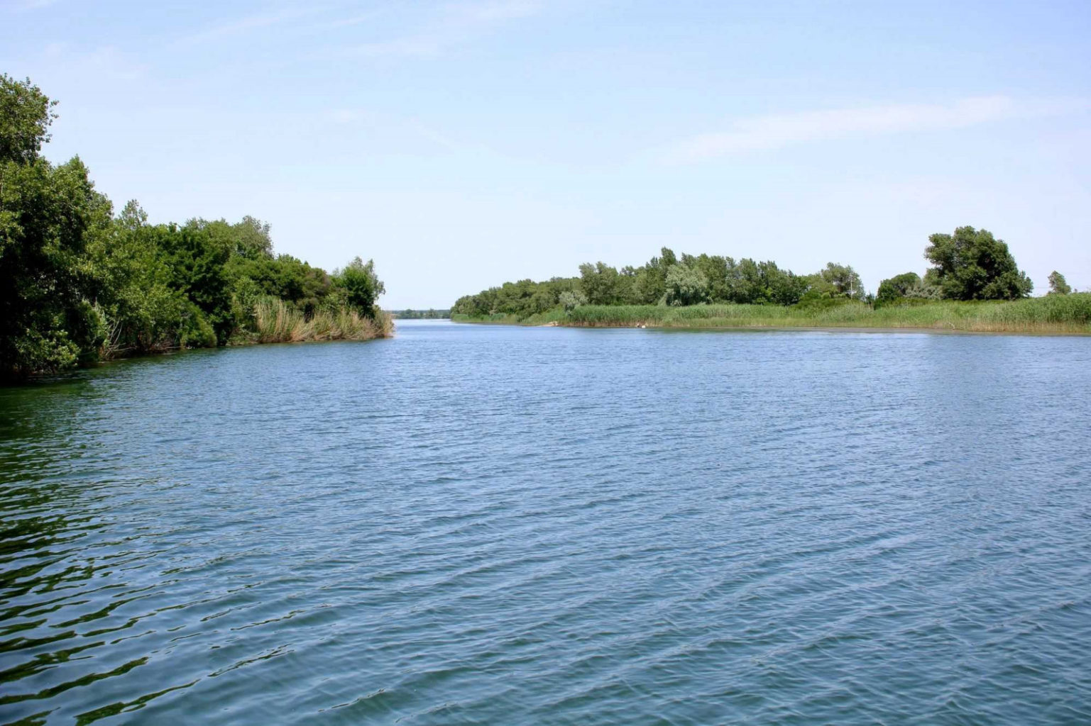 В Ростовской области в 2022 году расчистят три реки