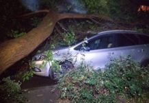 В Ростове до конца дня устранят последствия сильного ливня