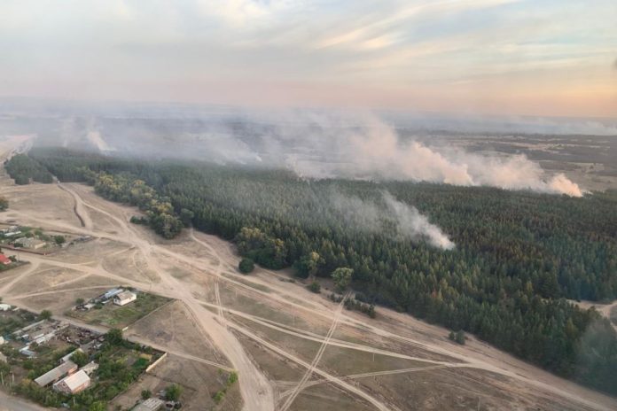 //Фото: правительство РО