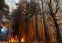 Из Ростова вылетели два самолета для тушения пожаров в Турции