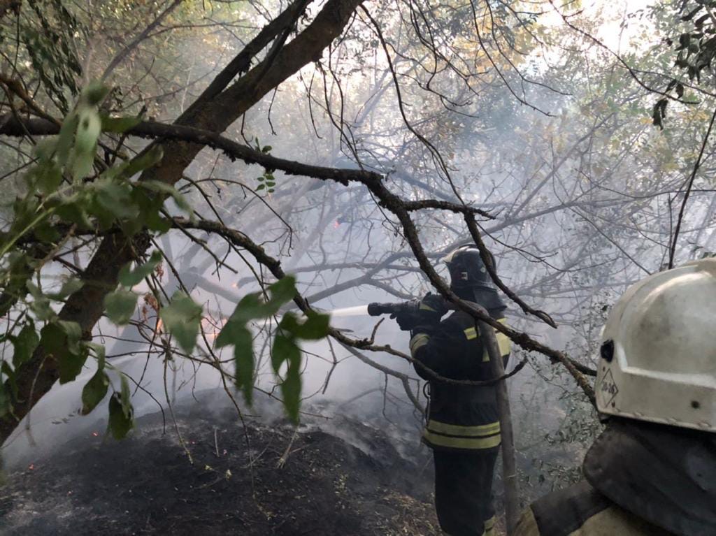 В Ростовской области остаются непотушенными еще два лесных пожара