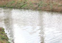 Житель Сальского района едва не утонул из-за ветра