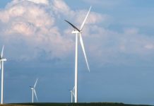 В Ростовской области построят седьмой ветропарк мощностью 100 МВт Ветропарк//Фото: правительство РО