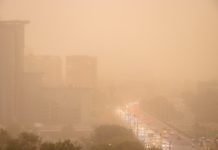 Климатолог Александр Иошпа рассказал о пыльных бурях в Ростове пыльная буря в Ростове //фото: Денис Демков