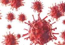 В Ростовской области циркулируют шесть респираторных вирусов коронавирус//Фото: Газета.Ру