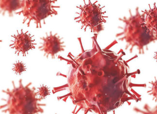 В Ростовской области циркулируют шесть респираторных вирусов коронавирус//Фото: Газета.Ру