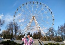 В Ростове 30 мая родились пять двоен в один день