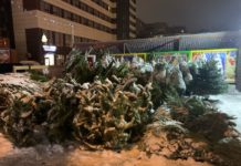 В Ростове с 1 декабря начали работать елочные базары Елочные базары//Фото: Екатерина Мацкиева "Городской репортер"