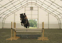 В Ростове на левом берегу построят конноспортивный комплекс до 2035 года Крытый конноспортивный манеж//Фото: правительство РО