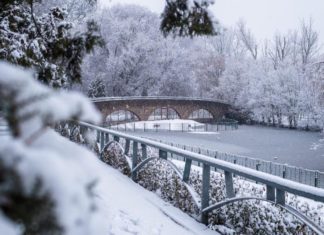 В Ростовской области зимние холода придут только в начале 2026 года Зима в зоопарке//Фото: пресс-служба Ростовского зоопарка