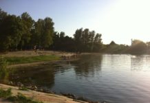 Роспотребнадзор предложил снять запрет на купание в Ростове