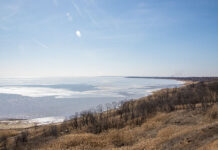 Изолятор на Доватора, увольнение замглавы дептранса и частный дом отдыха под Таганрогом: итоги