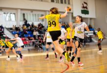 ГК «Ростов-Дон» сразится в финале чемпионата России с ЦСКА //фото: ГК "Ростов-Дон"