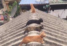 В Ростовской области ожидается потепление