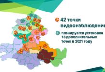 В Ростовской области в 2021 году высадят 1600 гектаров леса