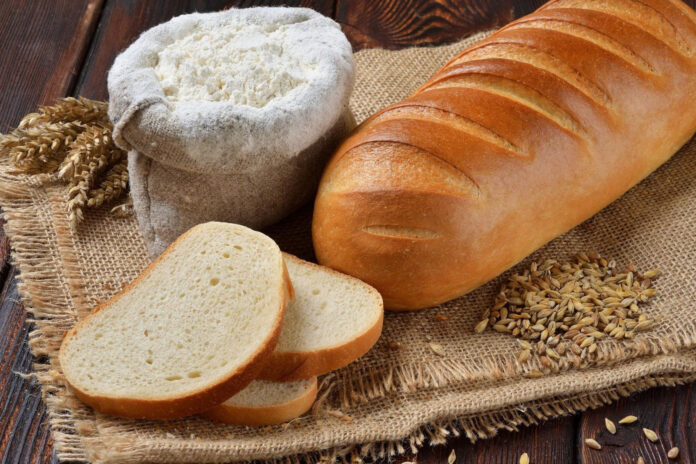 //Фото: правительство РО