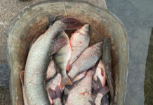 На реке Маныч задержали двух браконьеров с уловом